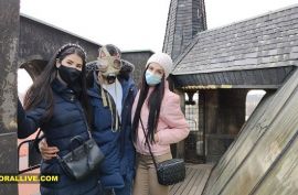 Ролик с горячей самкой