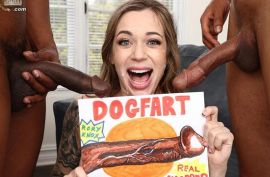 Большие хуи отлично долбят симпатичную самку