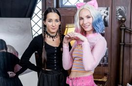 Две милые лесбиянки использовали игрушки